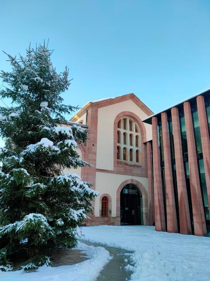 La Maison Bleue, A 20 Mn De Strasbourg, Sur La Route Des Vins, Jusqu'A 6 Personnes, Селеста Екстер'єр фото