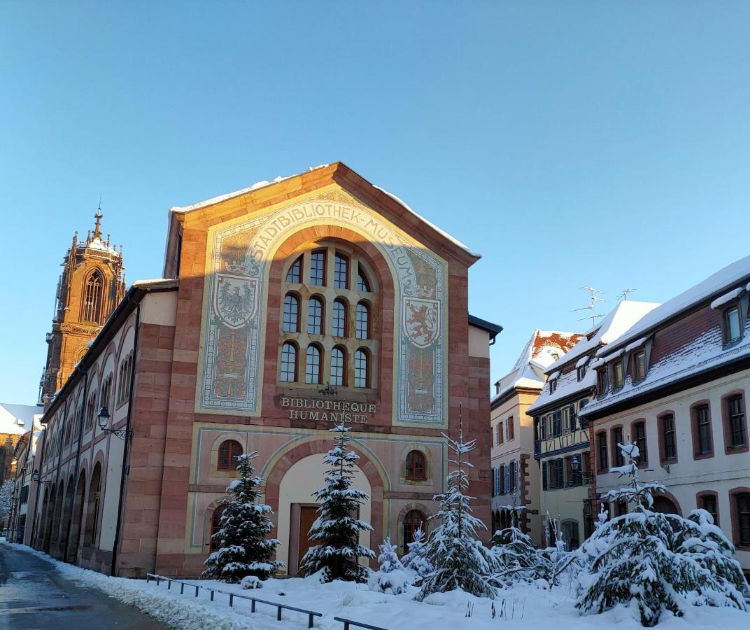 La Maison Bleue, A 20 Mn De Strasbourg, Sur La Route Des Vins, Jusqu'A 6 Personnes, Селеста Екстер'єр фото